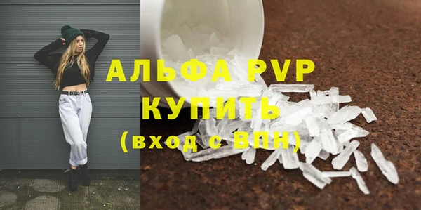 стафф Белокуриха