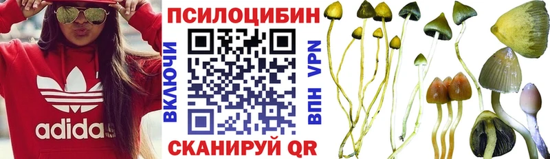 Галлюциногенные грибы ЛСД Вязники