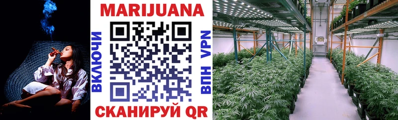 omg как войти Вязники Каннабис гибрид
